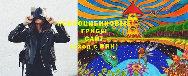 молекула духа Аркадак