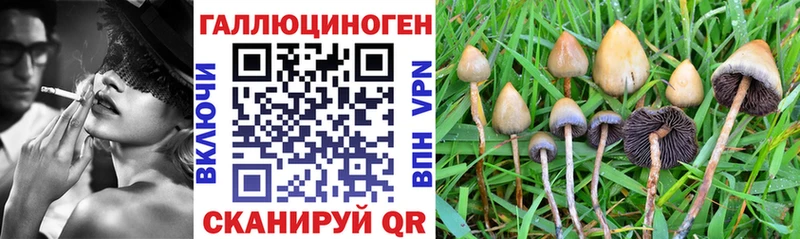 Галлюциногенные грибы мухоморы гидра ТОР Отрадный